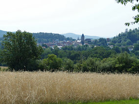 Wortgottesdienst an der Weingartenkapelle (Foto: Karl-Franz Thiede)